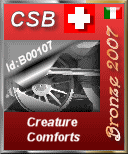 CSB Bronze Award