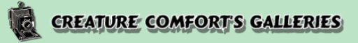 This content requires the Macromedia Flash Player to display correctly. Click here to get Flash now or click thumbnails to see the gallery.